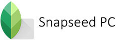 snapseed online for pc